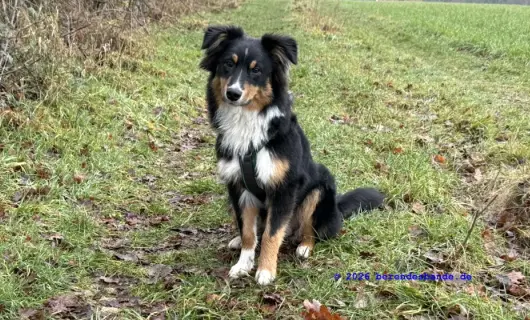 Ich bin jetzt ein Flegel