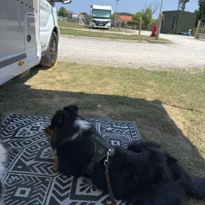 Sommerurlaub 2026